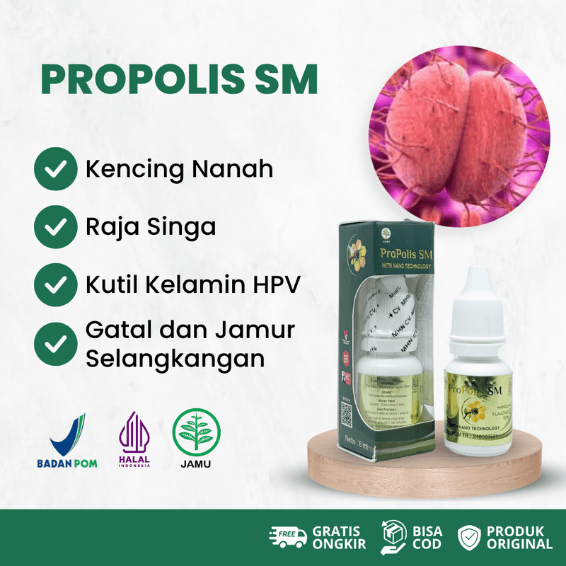 Propolis SM Untuk Kutil Kelamin HPV, Sipilis Pria, Sifilis, Raja Singa, Gonore, Kencing Nanah, Gatal Jamur Selangkangan - BPOM dan Halal MUI